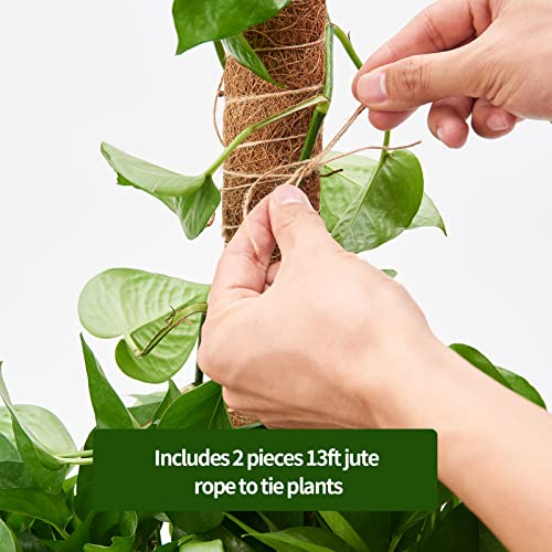 6 Pcs Moss Pole Extending to 68 Inches for Plants Monstera, Plant Support Stakes for Indoor Climbing Plants Grow Upwards, with 65ft Twist Ties, 13ft Jute Rope, 6.5ft Hook-and-Loop Strip - size: 6 Packs