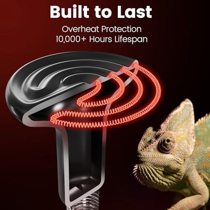 Dual Reptile Light Fixture with 100W Daytime Heat Bulb & 100W Nighttime Ceramic Heat Emitter, 2 Independent Switches, Reptile Heat Lamp Combo Pack - No UVB - size: ST1