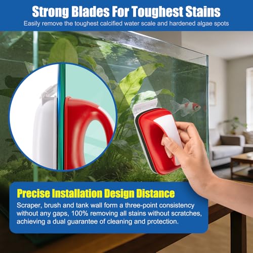 Small Aquarium Cleaning Tool Fish Tank Strong Magnetic Algae Scraper Glass Cleaner Floating Scrubber Brush with 2 Detachable Scrapers for Cleaning Debris and Algae (Size S) - size: S - Up to 1/4" Glass Thickness