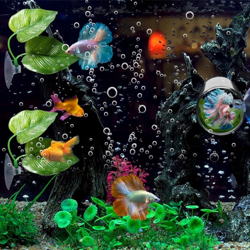 6PCS Betta Aquarium Decoration - Leaf Pad, Feeding Ring, Acrylic Tube Tunnel, Hideout Ornament for Fish Tank Decor