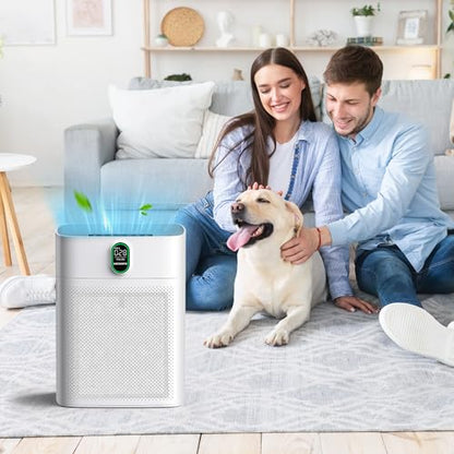 CHIVALZ 2 Pack HY4866 True HEPA Replacement Filters Compatible with MORENTO HY4866 Air Purifier, WESTHEY HY4866 Air Purifier and YIOU M1 Air Cleaner Purifier, Enhanced Version - style: Enhanced Version 2 pack