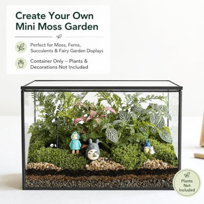 Glass Plant Terrarium with Lid, Rectangular Black Metal Frame Box for Indoor Plants, Clear Glass Container for Moss, Succulent, Fairy Garden, Tabletop Decor DIY Gift, 8.3”L x 4.7”W x 5.5”H