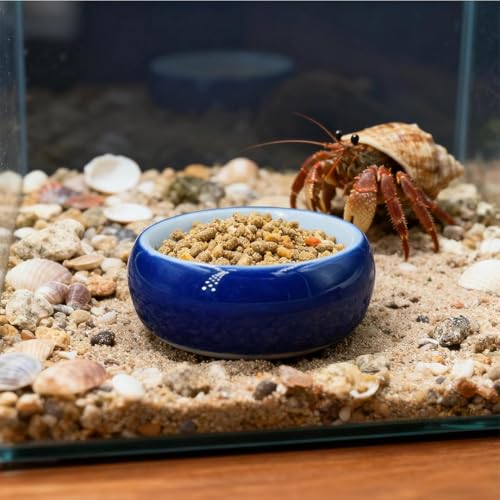 2 Pack Ceramic Hermit Crab Food Bowl Hermit Crab Food Dish Reptile Water Dish Aquarium Accessory for Turtle Bearded Dragon Lizard Gecko Tortoise (Blue, Round)