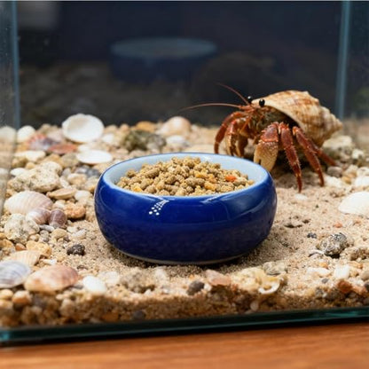 2 Pack Ceramic Hermit Crab Food Bowl Hermit Crab Food Dish Reptile Water Dish Aquarium Accessory for Turtle Bearded Dragon Lizard Gecko Tortoise (Blue, Round)