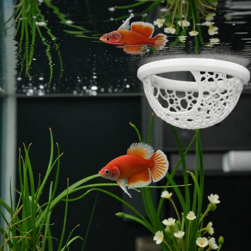 Floating Betta Fish Shrimp, Betta or Shrimp Feeder, Cave Hammock, Small Fish Feeding Rings, Aquarium Hiding Feeding Decorative Accessories Panda Prints Shrimp Dome (White)