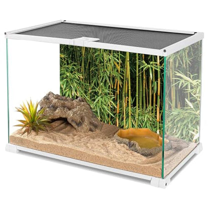 YongFoto Reptile Tank Terrarium Background 48x24 inch Bamboo Forest Green Bamboo Nature Scenery Reptile Habitat Background Bearded Dragon Fish Tank Aquarium Polyester Backdrop