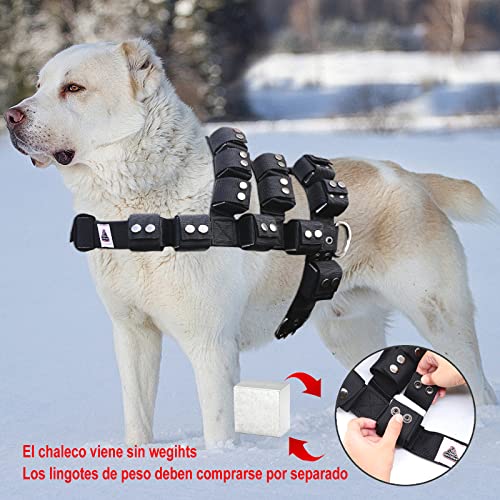 Weighted Tactical Dog Vest, No Pull Harness Symmetric Weight Pockets for Muscle & Weight Loss, Fit Pitbull GSD Husky, Heavy Nylon Service Harness Black - size: Dog's Waist 26.5"-32.5" | VEST ONLY