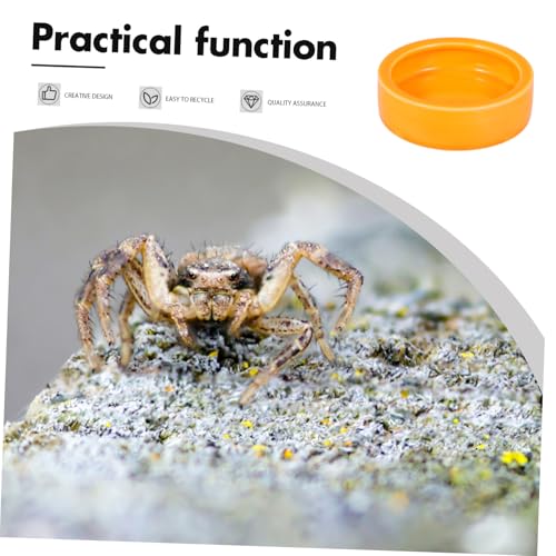 Crawler Pet Food Basin Pet Round Dishes Floating Feeder Bowl for Fish Tank