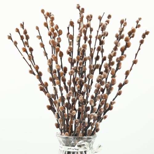 Natural Preserved Dried PussyWillow Branches for Vases, 20 Stems Real Willows, 17” Snow Pussywillows, Dried Flowers for Indoor Decor, Wedding Home DIY Floral Art Plants Fireplace, Brown