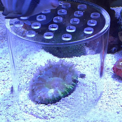 Acrylic Transparent Coral Feeder Cover, Shrimp Device for Aquarium Fish, Safe Coral Environment to Observe Coral Health (150mm)