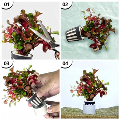 Aquatic Plants Fixed rings Set Aquarium Plant Weights Pot Aquarium Accessories (30)