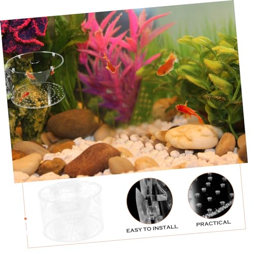 POPETPOP Fish Breeding Box for Aquarium Lightweight Separator for Fish Tank for Shrimp Survival Rate Easy to Carry and Store