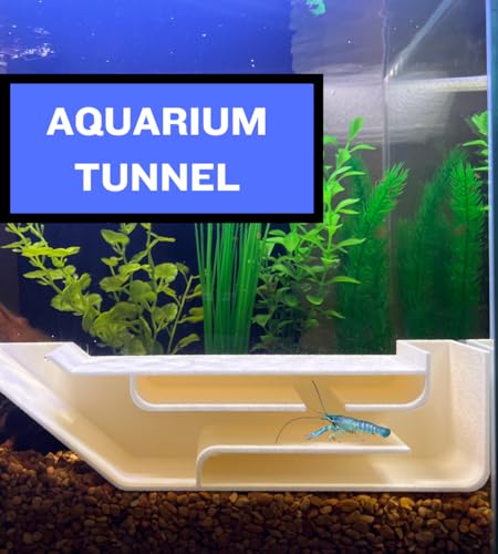 REEFSHAPE Aquarium X-Large Underground Tunnel | Fish & Shrimp Hideout for Aquariums | Unique Underground Viewing Tunnel | 9.75" X 2.5" | Made in USA (XL) (White) - color: White