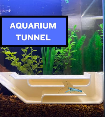 REEFSHAPE Aquarium X-Large Underground Tunnel | Fish & Shrimp Hideout for Aquariums | Unique Underground Viewing Tunnel | 9.75" X 2.5" | Made in USA (XL) (White) - color: White