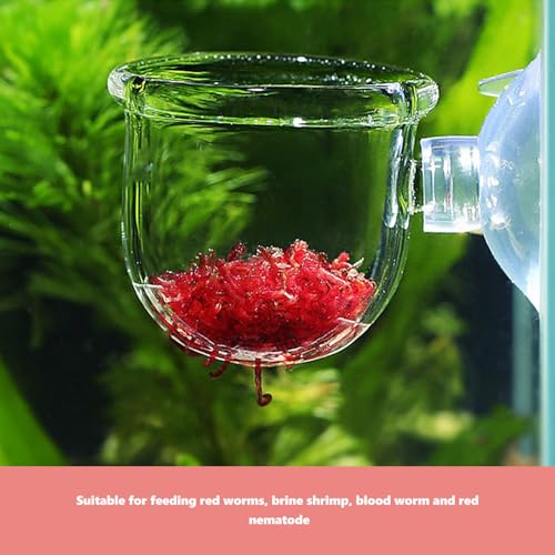 VALICLUD 4pcs Glass Feeding Cups Fish Food Dish Water Grass Container Aquarium Tank Feeder Multi-Function Fish Feeding Food Holder for Betta and Shrimp