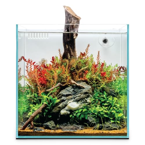 Ultum Nature Systems Rimless All in One Aquarium - Cube Fish Tank, Freshwater AIO Aquarium, Rimless Fish Tank w/Triple-Chamber Filter & White Background - 7 Gallon - 11.81" x 11.81" x 11.81" - 30A