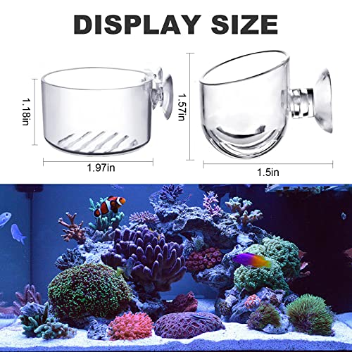 MDEOOSKY 16 Pack Aquatic Plant Cups, Acrylic Aquarium Plant Cup, Transparent Acrylic Aquatic Pot with Suction, Acrylic Aquarium Suction Cup Holder, Aquarium Decoration 2 Shapes