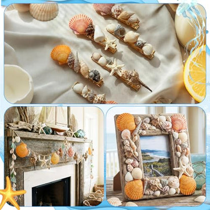 35 Pcs Large Sea Shells Mixed Beach Seashells 35 Kinds 0.8"-3.5" Various Sizes Natural Seashell Starfish Ocean Shells Conch for DIY Crafts Vase Fillers Beach Party Fish Tank Wedding Home Decor