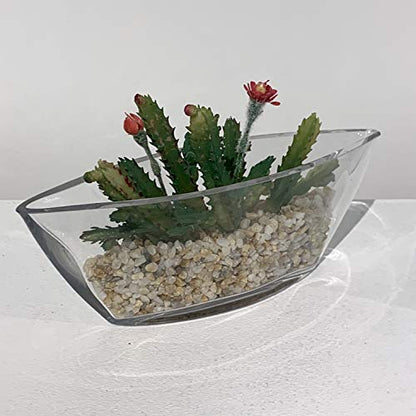 WGV Glass Candle Holder, Length 8.25", Width 2.5", Height 3", Clear Boat Floral Tea Light Pillar Container Planter Terrarium for Wedding Party Ceremony Event Office Home Decor 1 Piece - size: 8.25" Long