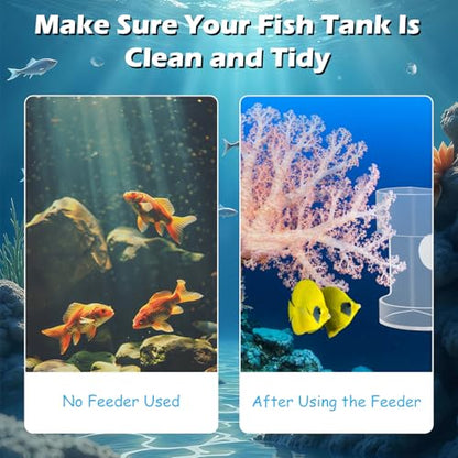 New Fish Tank Feed Tray with Suction Cup, Tank Divider Supplies, Feeding Tube Supplies Breeder Box for Aquarium, Round Aquariums & Fish Bowls Accessories - color: 1.Transparent