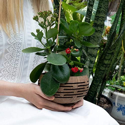 Set of 2 Horizons Coconut Planters w/Drainage Hole- Perfect for Succulents, Flowers, Small Plants, Indoor & Outdoor Gardens- Handcarved by Artisans, Eco-Friendly & Sustainable