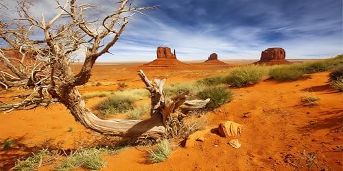 48X24 Inch Sun-Baked Desert Terrarium Backdrop - Orange Sand Habitat Background Durable Polyester Reptile Tank Decor for Arid Species - size: 48X24in