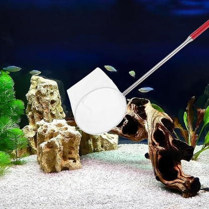 BESPORTBLE Mini Telescopic Shrimp Net for Aquarium with Extendable Handle Small Fine Mesh Fish Net for Shrimp Catching and Aquarium Maintenance