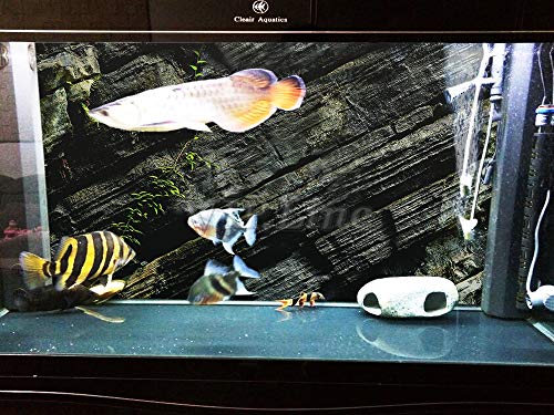 Moss Rock Aquarium Background Poster HD Fish Tank Decorations Landscape (30" x 18"/ 76 x 46cm) - size: 30" x 18"/ 76 x 46cm