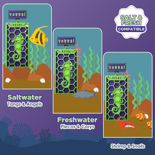Magnetic Seaweed Feeder, Swinging Motion Nori Feeder, Seaweed Clip for Tangs Angels Freshwater and Shrimp Tanks (Green & Purple) - color: GREEN & PURPLE