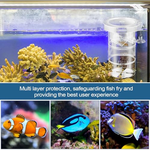 Aquarium Fry Nursery – Compact Breeding Chamber, 12x12x12cm Divider Habitat, Easy Install Structure | Aquatic Care Equipment with Isolation Space for Guppy Shrimp Betta Saltwater Organisms Recovery