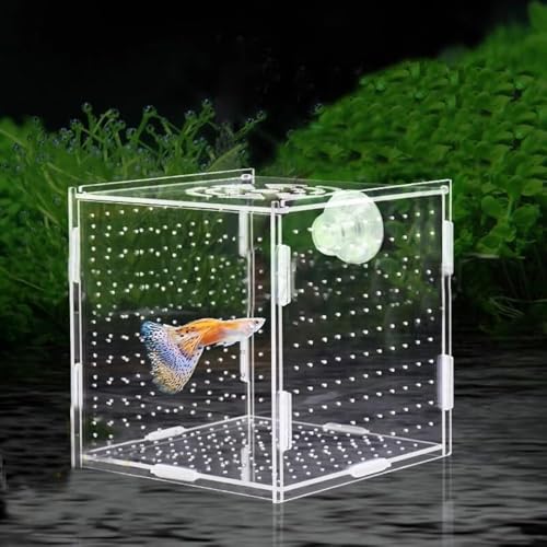 Acrylic Fish Breeding Box，Guppy breeding Box Acrylic Fish Isolation Box Aquarium Incubator with Suction Cups for Guppy Shrimp Small Baby Fishes（3.9 x 3.9 x 3.9 inches） - size: S(3.9 * 3.9 * 3.9in)