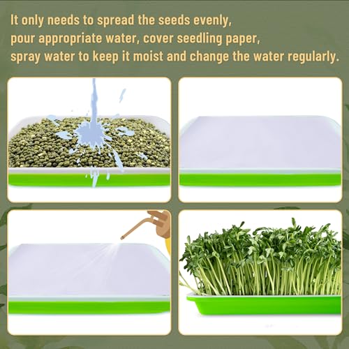 Pack 6 of Seed Sprouter Tray with Drain Holes,Seed Germination Tray Kit BPA Free Nursery,Soil-Free Wheatgrass Sprouter Microgreens Growing Kit (Green-6 Pack) - color: Green-6 Pack