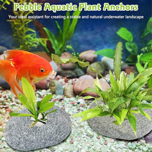 Drilled Pebble Aquatic Plant Anchors Water Plants Fixed Ring Natural River Stone Plant Weights for Fish Tank Aquarium Decorations Landscape Stones(Aperture: 0.8" 1hole 6pcs)