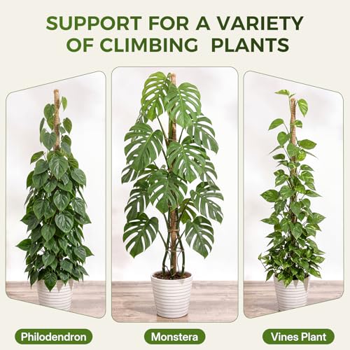 4 Pack Moss Pole Monstera Plant Support, 2 Pack 28" & 2 Pack 48" Bendable Plant Stakes Made of Real Coco Coir Support for Climbing Indoor Plants, Tall Moss Stick Trellis for Potted Climbers