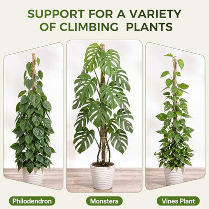 4 Pack Moss Pole Monstera Plant Support, 2 Pack 28" & 2 Pack 48" Bendable Plant Stakes Made of Real Coco Coir Support for Climbing Indoor Plants, Tall Moss Stick Trellis for Potted Climbers
