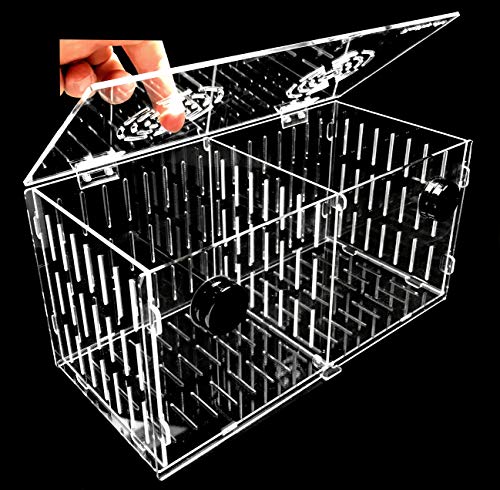 Magnetic Acclimation Box fish Breeder Nursery isolation Tank - size: 12"x6"x6"