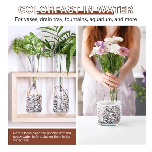 3 lbs Pebbles for Indoor Plants, 1/5 Inch Pea Gravel for Fish Tank, Decorative Rocks for Succulent, Natural River Stones for Vases, Cactus, Landscaping, Bird Bath, Aquarium, Mixed