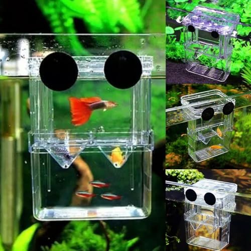 Generic Aquarium Fish Tank Hatchery Incubator Breeding Box, Transparent Fish Isolation Box Acclimation Hatchery, for Baby Fish Shrimp Clownfish Guppy (S) - color: S