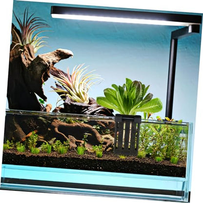 Alipis 4Pcs Aquarium Plant Holder Holes Hanging Plant Pot for Sturdy Plastic Suitable for Aquariums and Aquatic Decor