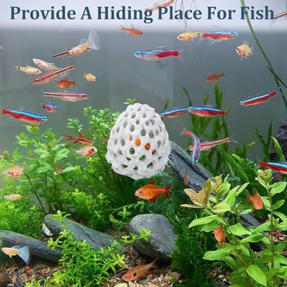 Shrimp Dome Hide with Suction Cup - Ideal Aquarium Ornament for Shrimp, Guppy & Betta Fish Hiding and Resting White