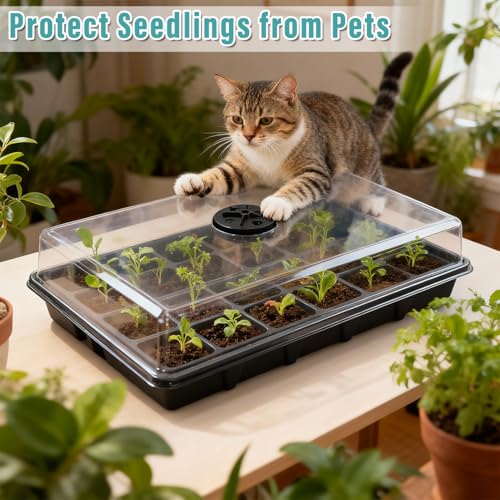 RooTrimmer 10-Pack XL Seed Starter Tray with Dome – 24 Large 2" Cells per Seedling Starter Trays (Total 240 Cells), Seed Growing Tray with Humidity Lids for Greenhouse Home Plant Propagation - color: Black and Clear, size: 10 Sets