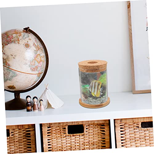 DOITOOL Creative Glass Fish Bowl for Hydroponic Plants Desktop Aquarium for Betta Fish and Multi-Functional Terrarium for Home Decoration and Organization Mat