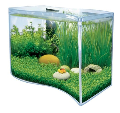 Toys By Nature Freshwater Oasis Garden, Mini Wave Terrarium Kit with Aquatic Seeds and Real Water Plant, Beginner-Friendly Terrariums and Live Indoor Plants Decor