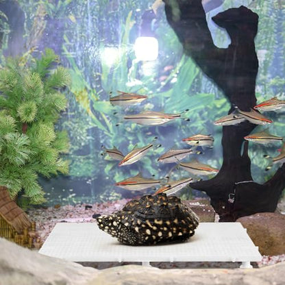 Toddmomy 1set Fish Tank Divider Isolation Board Aquarium Part for Fish and Turtle Tanks Easy to Install Creates Separate Zones for Diverse Aquatic Species Mesh Panel Includes Support