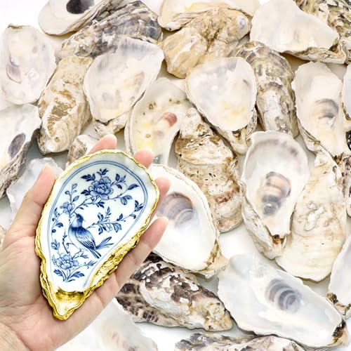 30PCS Natural Oyster Shells for Crafts, 4"-5" Large Gray Seashells Bulk for DIY Ornaments, Decoupage, Shell Painting, Vase Filler, Beach Decor & Ocean Theme Parties - color: 4"-5" 30pcs