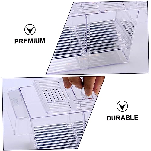 BESPORTBLE Transparent Fish Breeding Box Dual Layer Incubation Container for Fry Durable Aquarium Isolation Box with Suction Cup Design for Young Fish Care Large