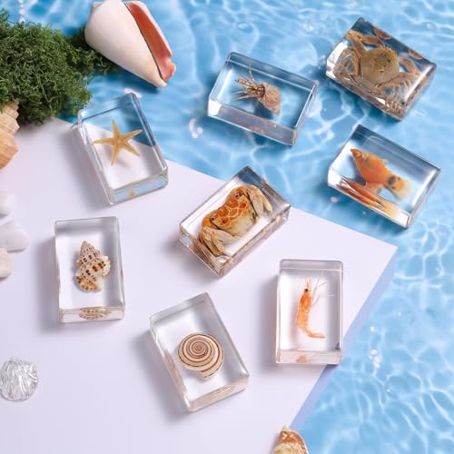 12 Pcs Real Ocean Animal & Insect Specimens in Resin - Educational Science Display Collection with 12 Unique Styles - Perfect for School Projects, Bug Collectors & Home Decor