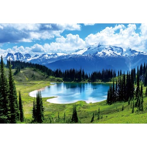 YongFoto Outdoor Nature Scenery Backdrop 6x4ft Lake Mountains Forest Pine Blue Sky Spring Photography Background Party Banner Room Decor Travel Portraits Photoshoot Wallpaper Photo Studio Props - color: Style 5, size: 6ftx4ft