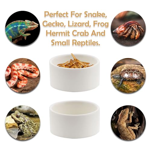 2 Pack Snake Small Water Bowl Reptile Food Dish Ceramic Feeder for Snake Lizard Gecko Frog Hermit Crab