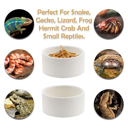 2 Pack Snake Small Water Bowl Reptile Food Dish Ceramic Feeder for Snake Lizard Gecko Frog Hermit Crab